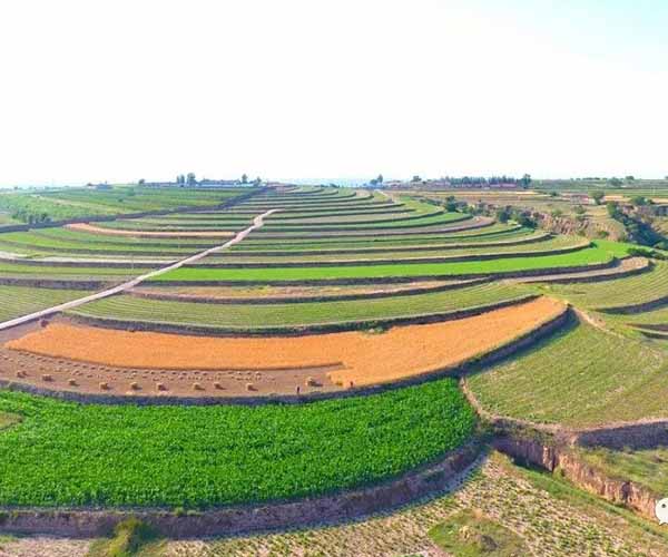 北京凱云科技公司-重慶土地整理項目預算軟件