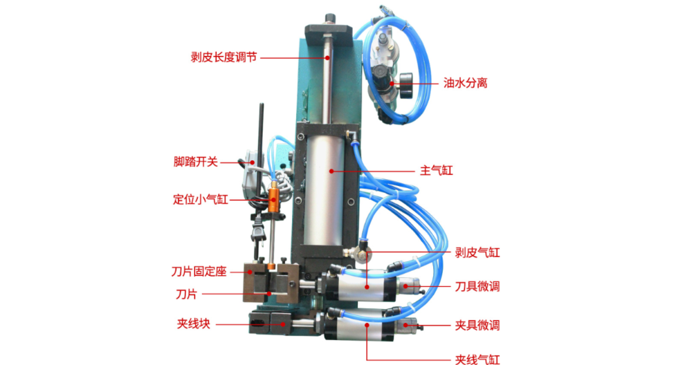 云南半圆孔冲裁机生产线 信息推荐 东莞市博达斯智能科技供应