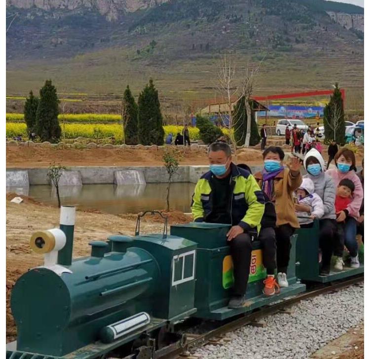 乐山大型轨道火车