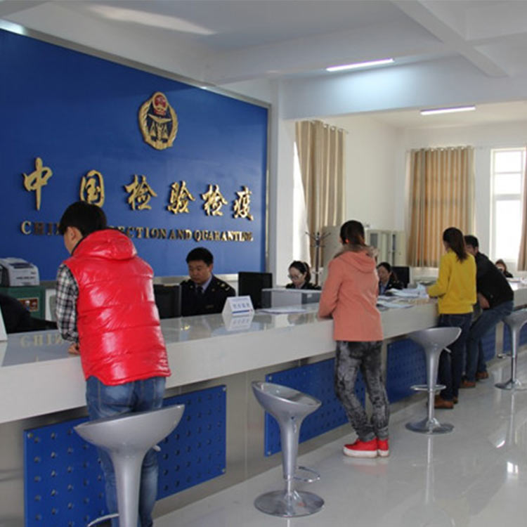 報檢代理附近哪里有公司-芒市報檢代理-長流報關代理