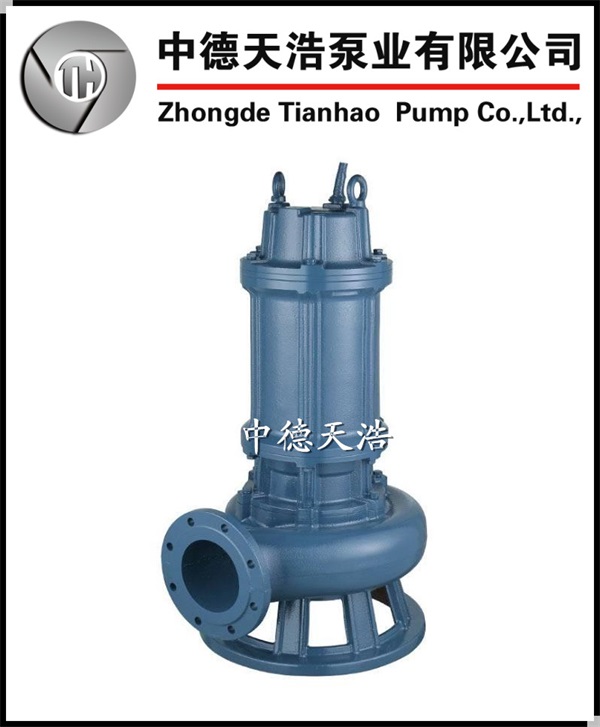 天津耐酸堿污水泵廠商-中德天浩泵業(yè)擇優(yōu)企業(yè)-天津耐酸堿污水泵