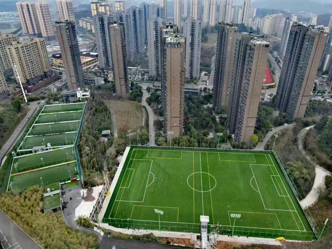 北京足球場人造草坪廠家 免費寄樣