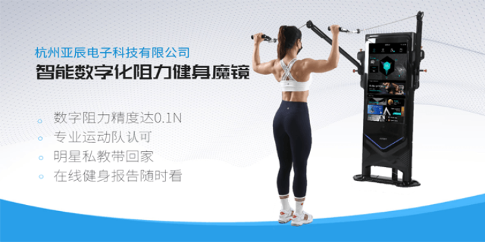 河北智能阻力供應(yīng)商 杭州亞辰電子科技供應(yīng)