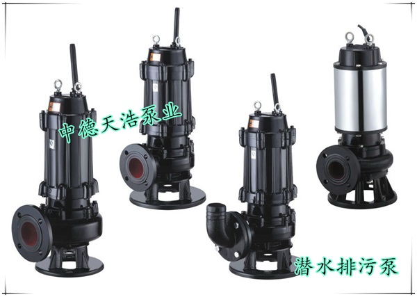 天津切割污水泵-中德天浩泵業品質之選-天津切割污水泵供應商