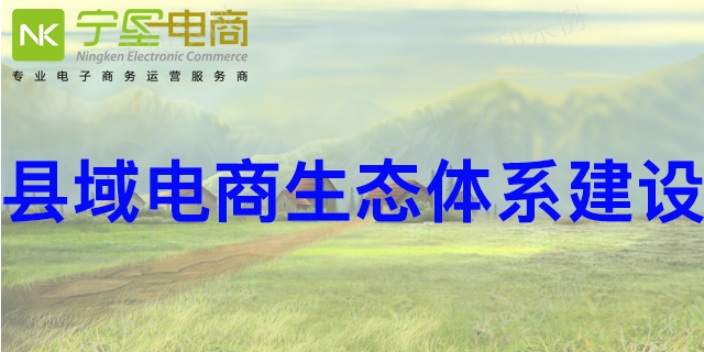 青海縣域電商 寧夏寧墾電子商務(wù)供應(yīng)