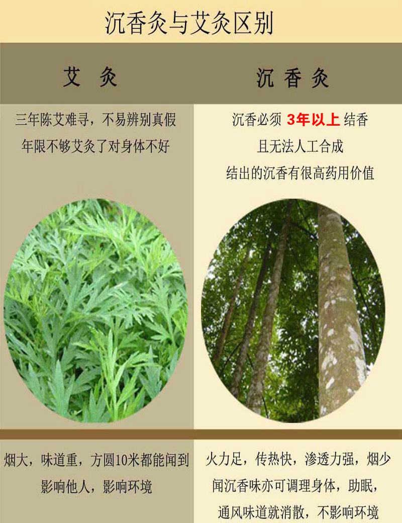 儋州沉香灸批发