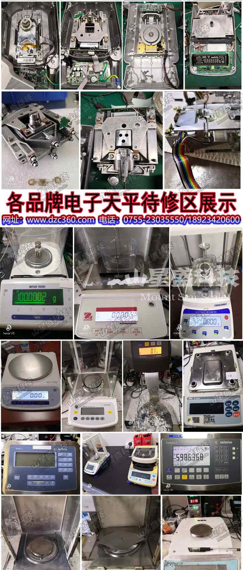 美国西特SETRA分析电子天平维修传感器