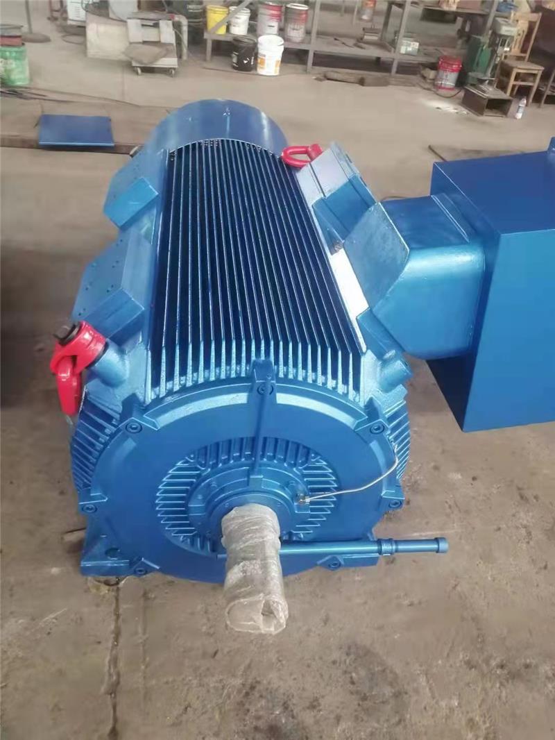 貴州低速大扭矩電機安裝-西浦電機