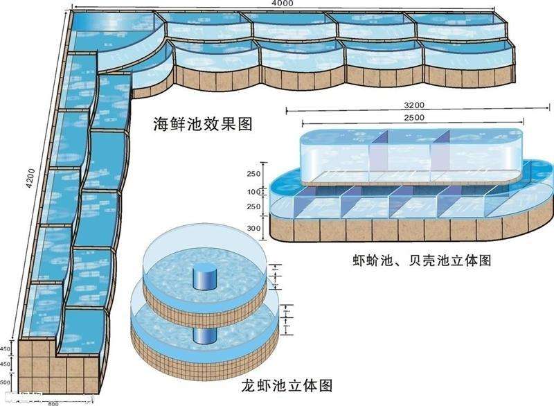 杏坛镇玻璃海鲜池定制