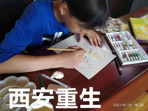 張掖全日制封閉式管理教育咨詢 沉迷游戲的危害 重生教育