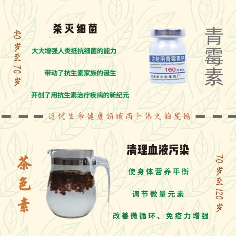 河北茶色素批發廠家 中祿松波生物