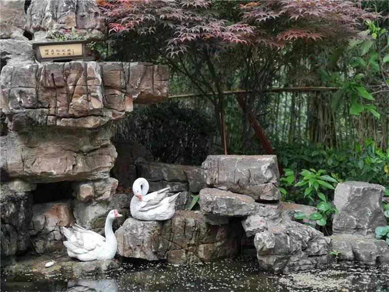 花園設計-克洛伊-室外花園設計