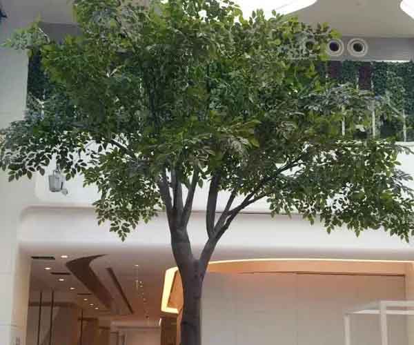 室內定制環球影城椰子樹-北京環球影城椰子樹-棕櫚樹有限公司