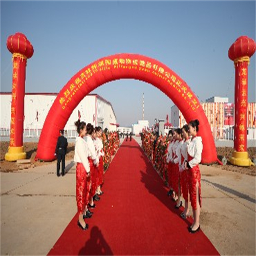 石龍開(kāi)業(yè)慶典 外國(guó)風(fēng)情舞蹈 歡迎咨詢(xún)
