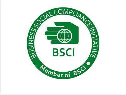 BSCI 认证吉安