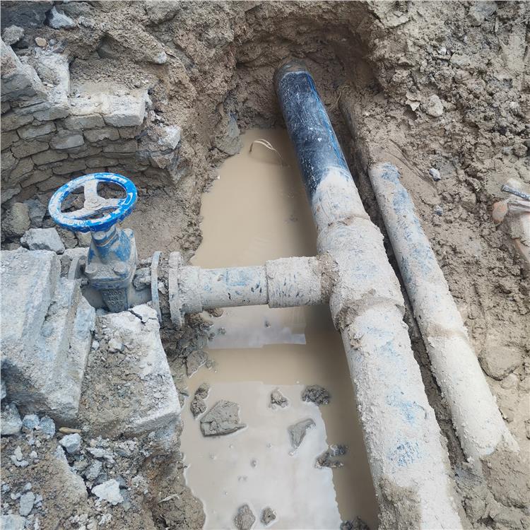 清遠本地消防管漏水檢測工人 正規**