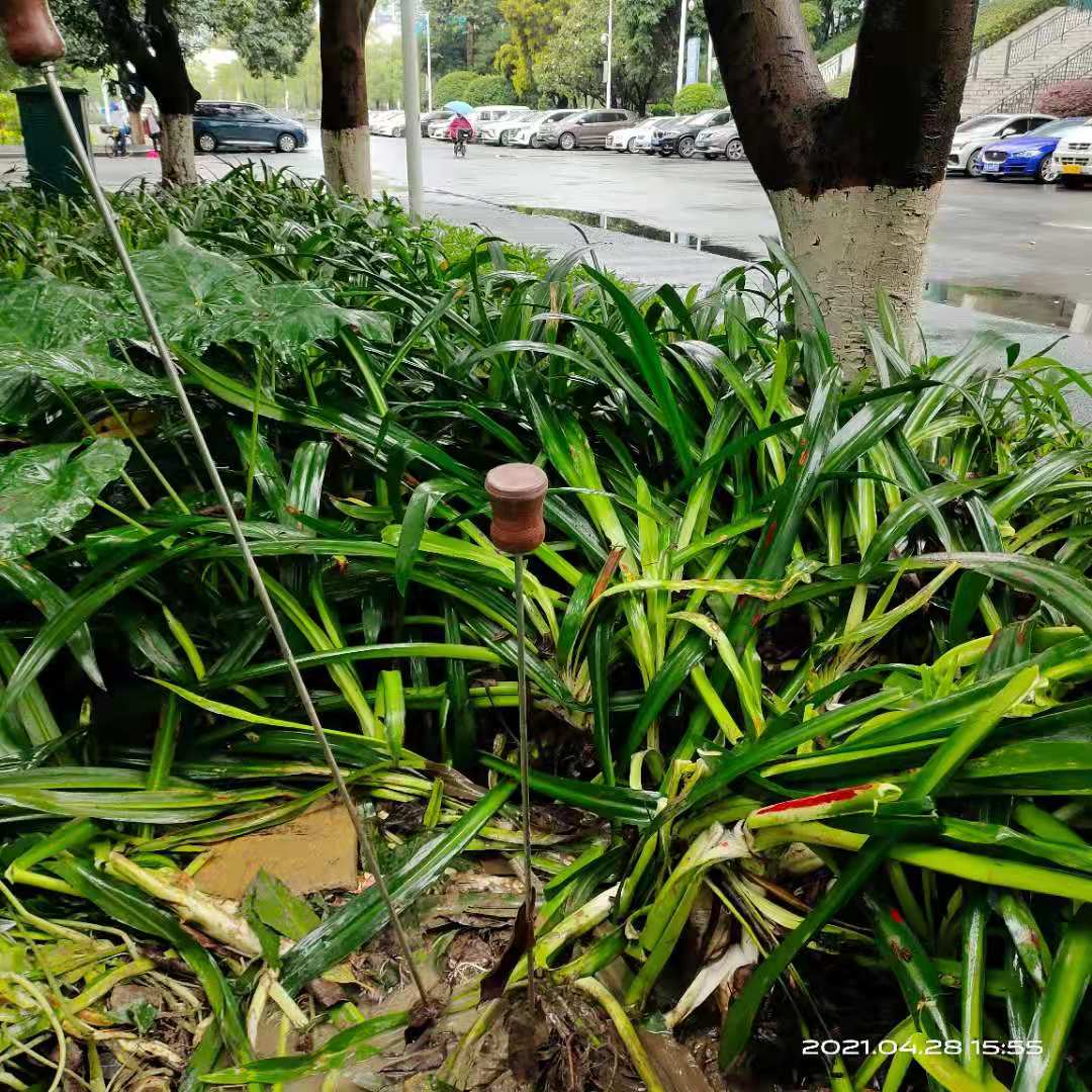 广东消防管漏水检测