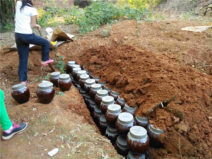 白米酒廠家批發-東莞米酒-客泉醇地窖酒發源地