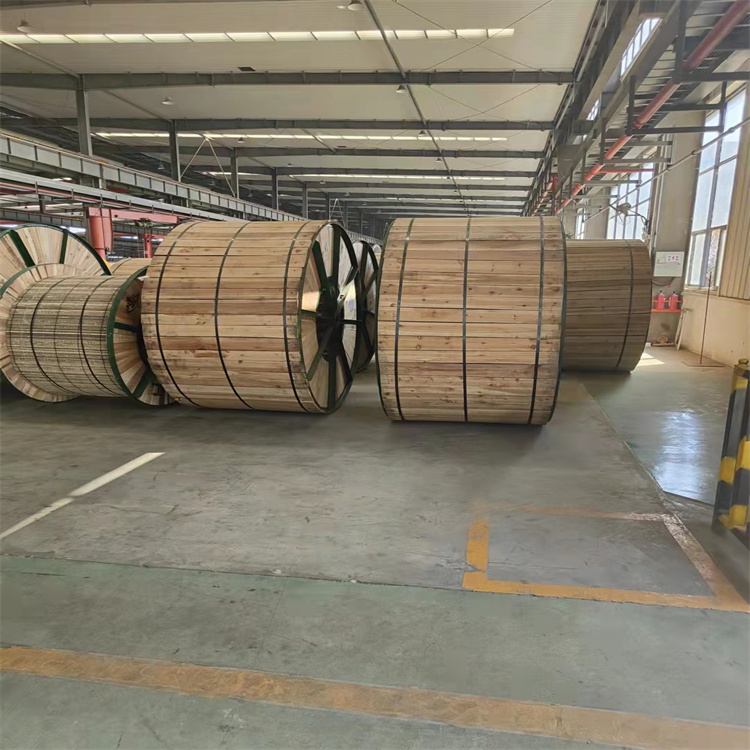 廣西**耐熱鋁合金絞線供應 低弧垂