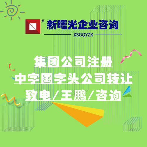 北京国字头集团公司注册材料