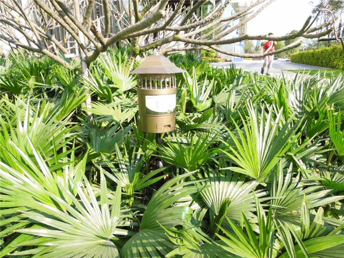農(nóng)莊滅蚊大范圍滅蚊燈效果好仿生態(tài)滅蚊“本信息長期有效”