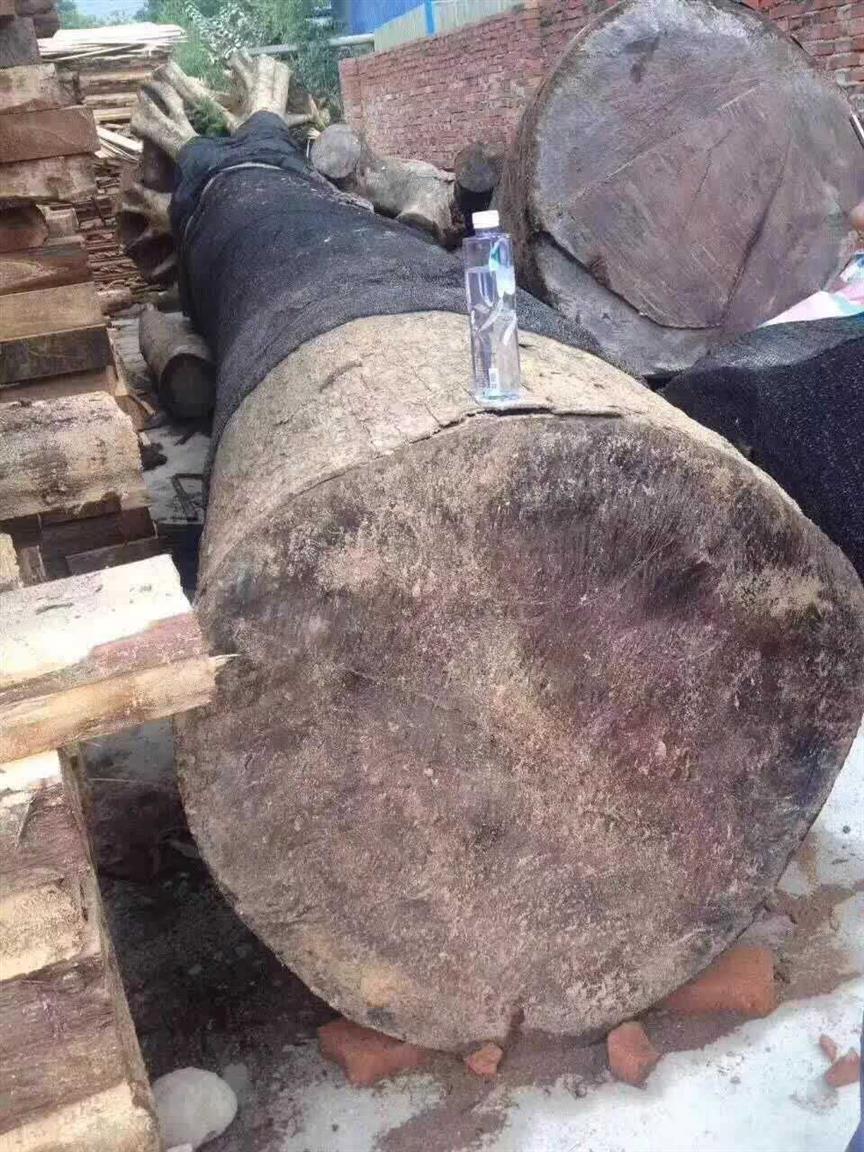 汕頭銷售楠木棺材 可定制