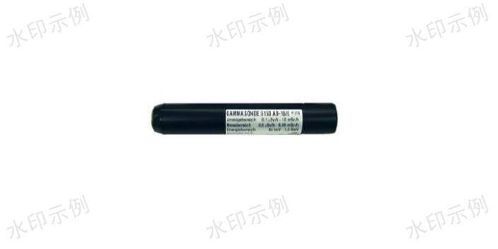 6112B-101劑量率儀歡迎來電 歡迎咨詢 坤薩機電設備供應