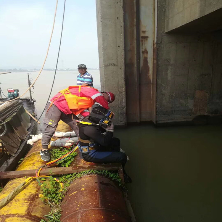 浙江管道水下堵漏施工队 电厂过滤管道水下堵漏公司