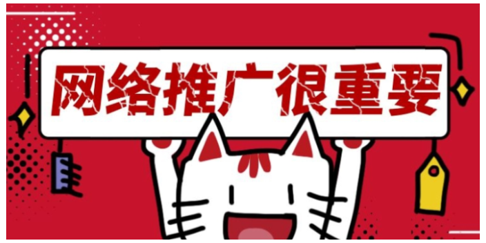 承德一站式網絡運營服務電話 貼心服務 保定創天網絡科技供應