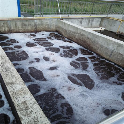 污水水處理機(jī) 佳縣農(nóng)村污水處理設(shè)備非標(biāo)定制 博海環(huán)境