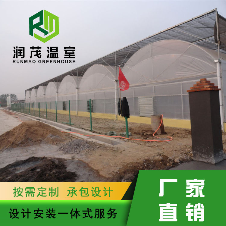 火龍果溫室方案-青州潤茂-火龍果溫室
