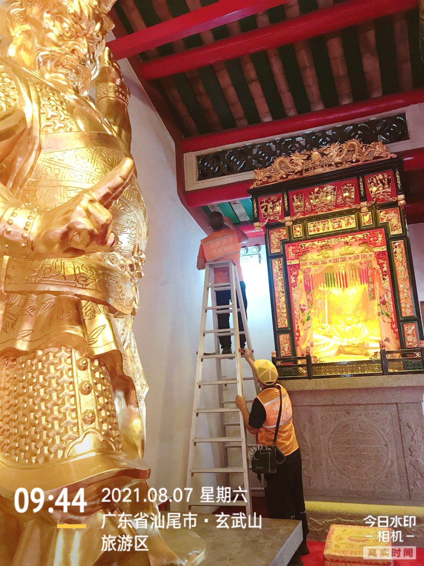 陸河滅白蟻公司 殺白蟻 有效滅白蟻
