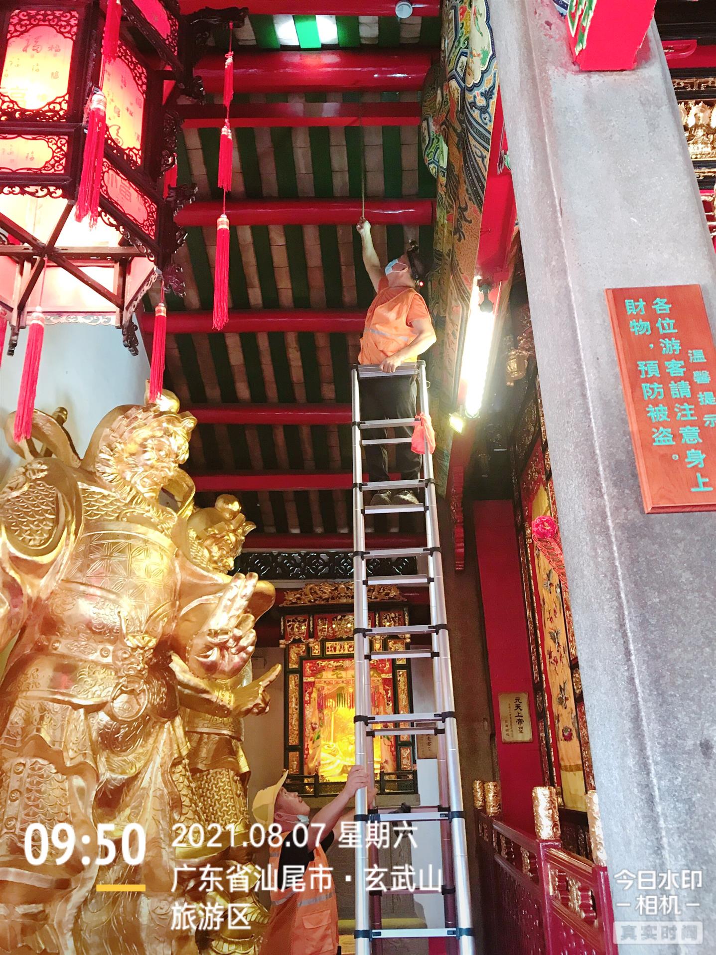 陸河縣賓館白蟻預防服務中心 白蟻防治所