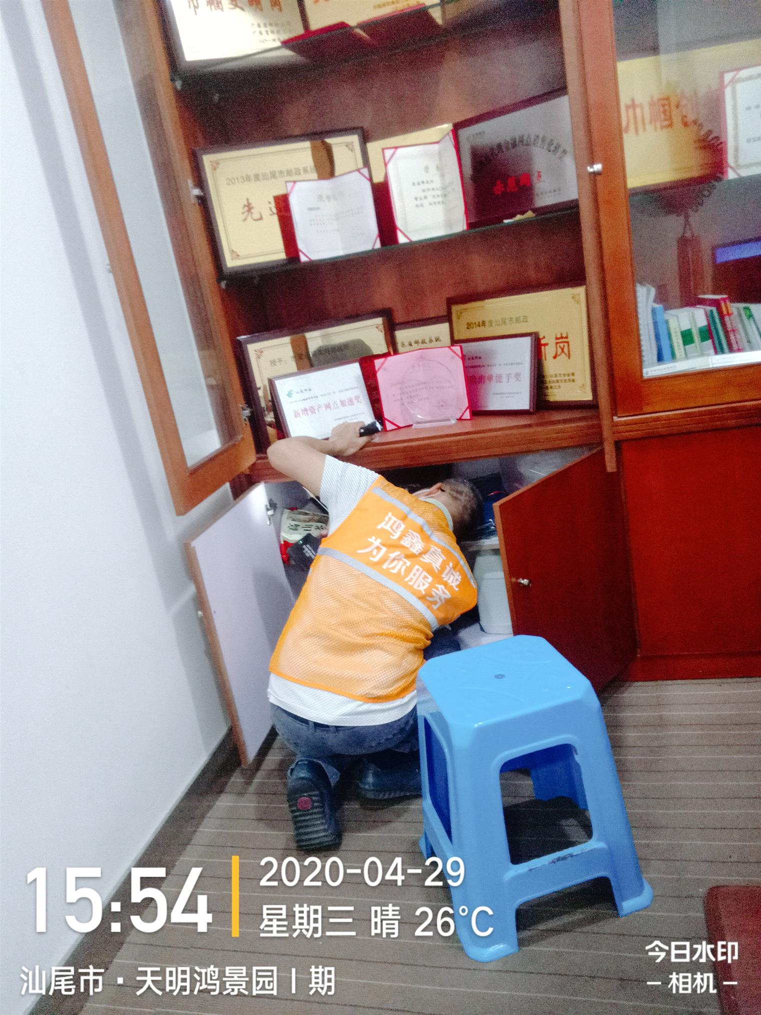 惠東園林白蟻防治防治中心 白蟻防治中心