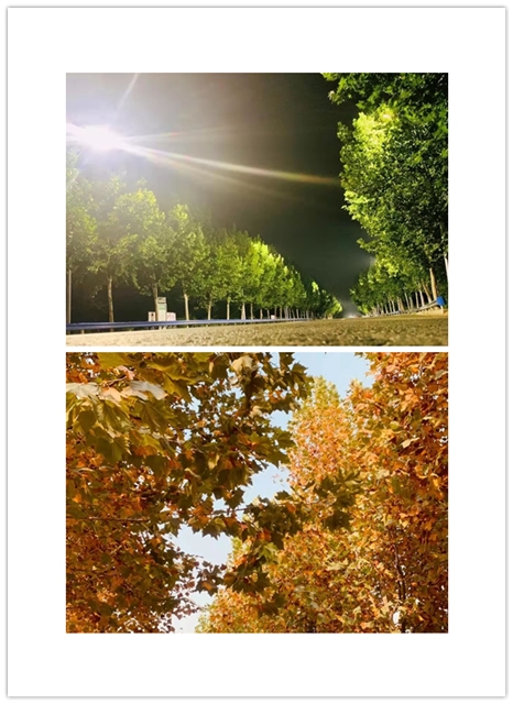 潛江供水調度員證**高