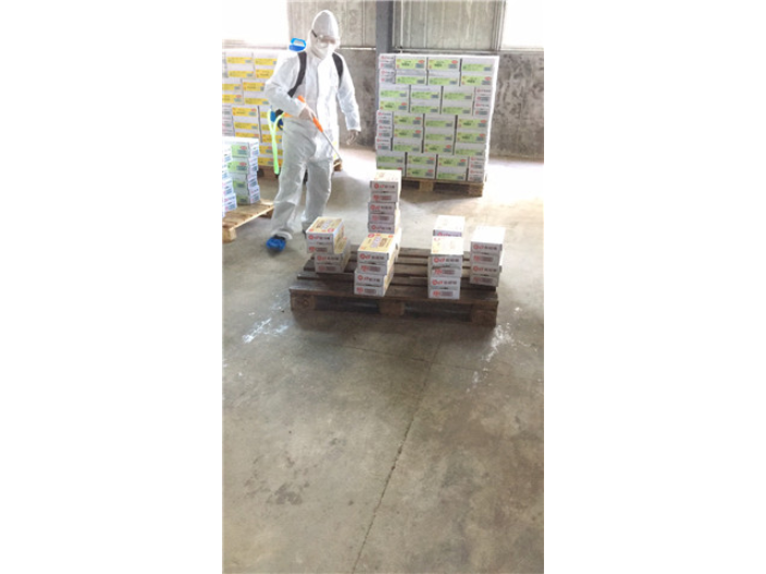 南山區生物害蟲防治的專業公司 服務至上 全新環凈環保供應