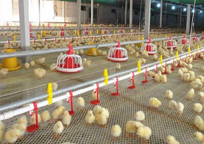 雞水線料線-宏澤溫控-福綿區(qū)水線料線