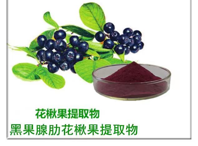 婁底黑果花楸作用
