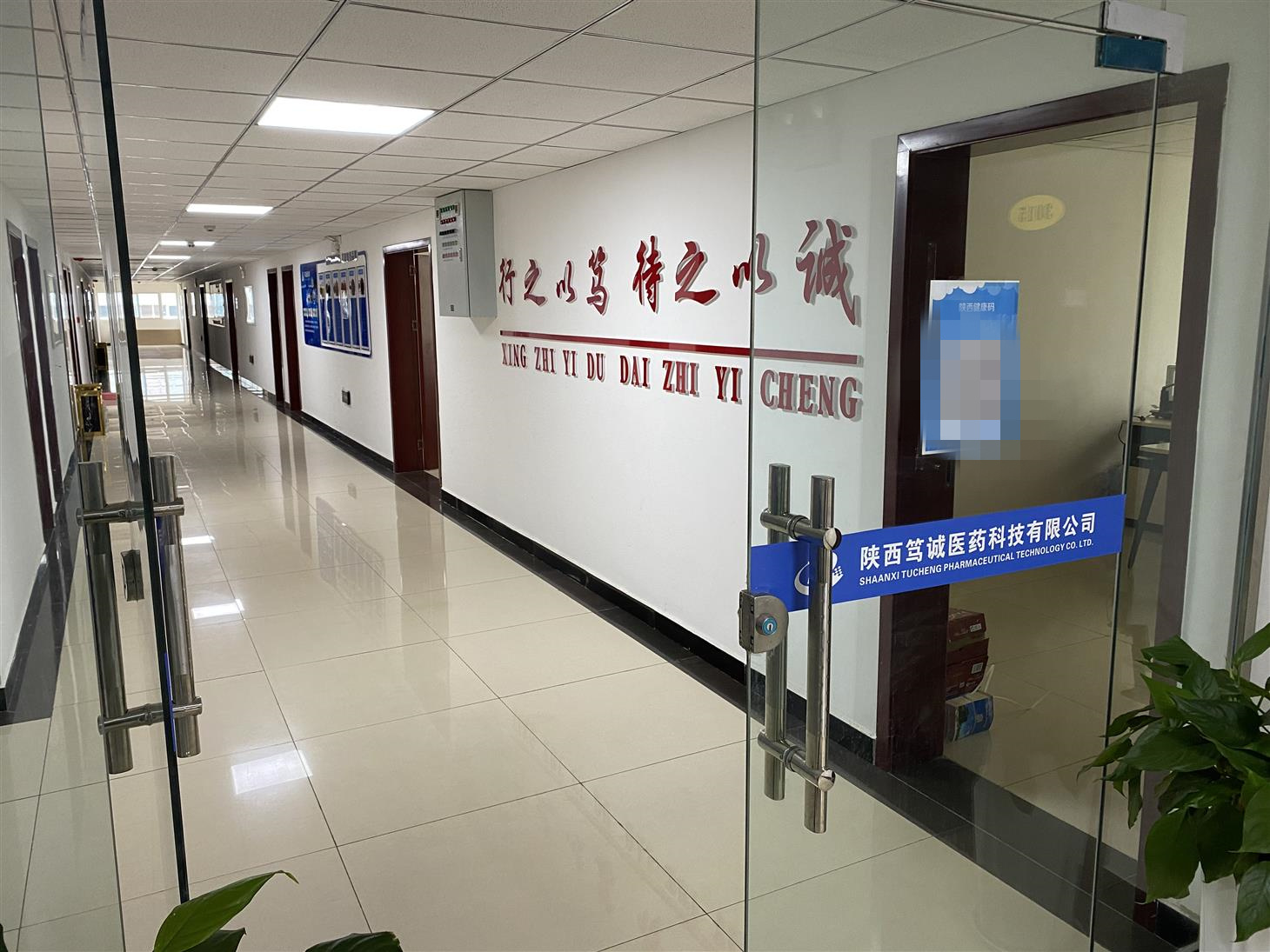 渭南白柳皮提取物作用 免費試樣