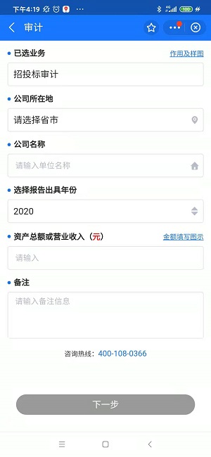 财务报表年度审计企业