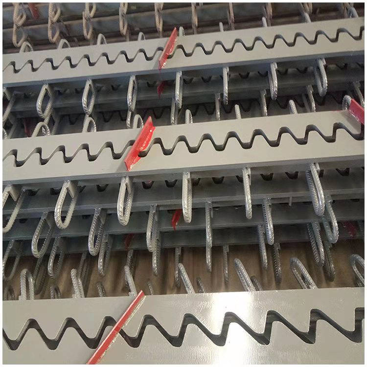 公路梳齿板伸缩缝-衡水睿智-梳齿板伸缩缝