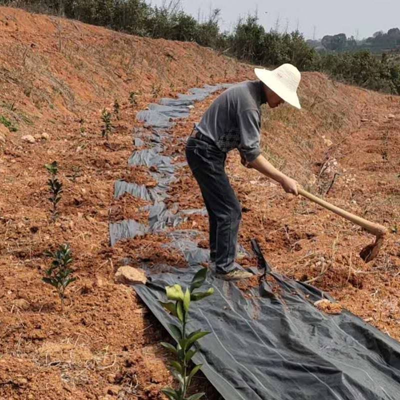 润业土工 4米宽黑色PP编织型透水防草地布