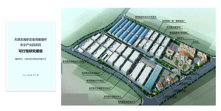蔬菜基地可行性报告