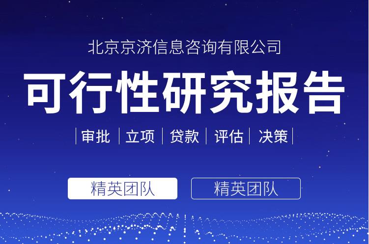 中咨公司的项目可研报告