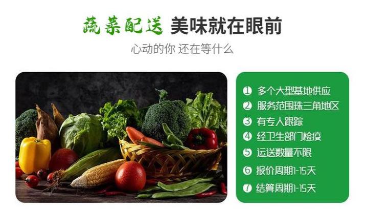 寮步蔬菜批发食材配送公司