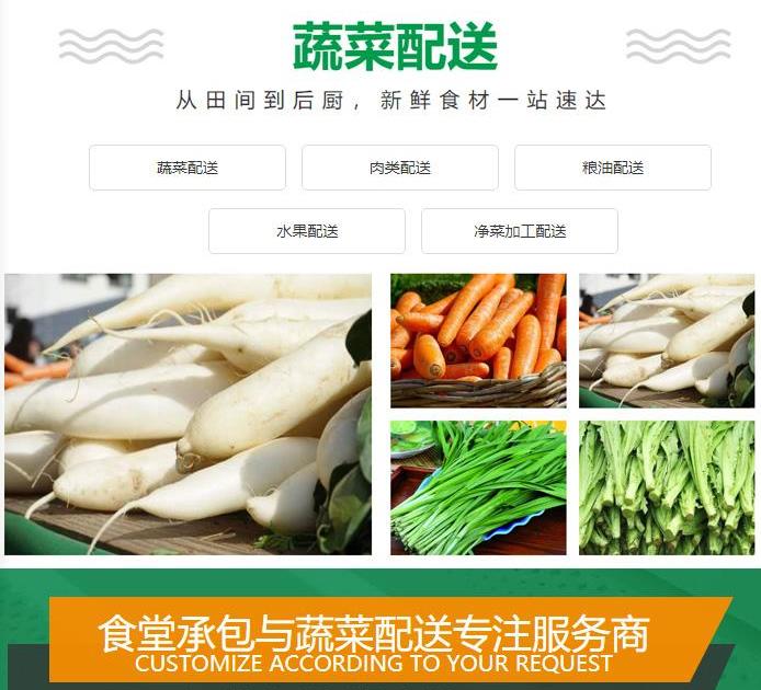 中山东凤蔬菜批发食材配送公司价格