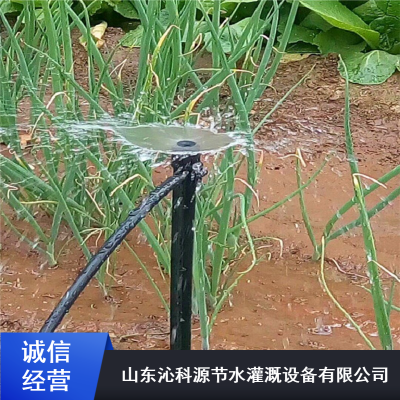 抗风化节水滴灌_大棚用PE材质滴灌_沁科源膜下滴灌报价