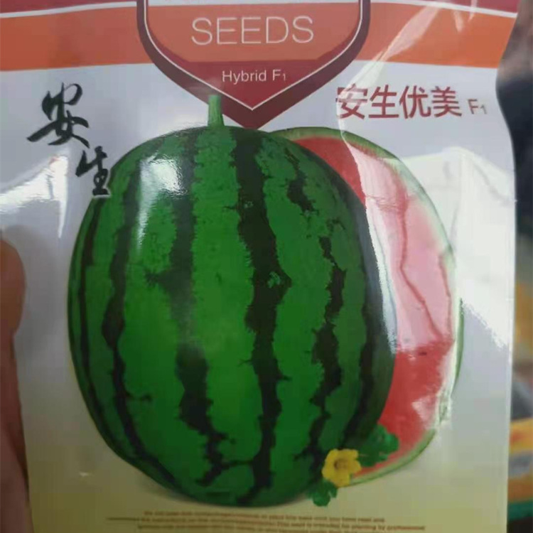甜王西瓜苗 西瓜苗 早春早熟西瓜苗