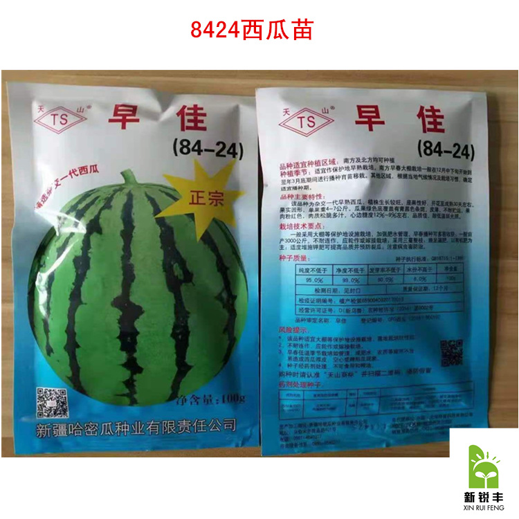 美都西瓜苗 嫁接西瓜苗報價