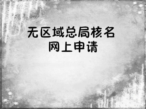 没有区域的工商总局公司核名怎么申请注册